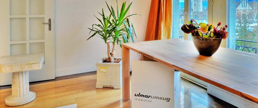 ulmerumzu2